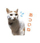 ゆかいなかりんくん！（個別スタンプ：35）