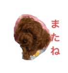 ヴィヴィのほんわかスタンプ2（個別スタンプ：5）