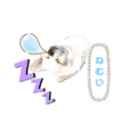 ぽめちnoこゆき③（個別スタンプ：9）
