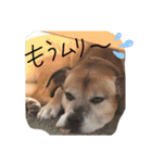 Alfred tag 2（個別スタンプ：3）