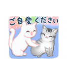 【敬語】虹色ねこさん♡（個別スタンプ：19）