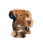 くんくんじぇいくん。（個別スタンプ：2）