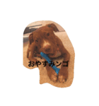 くんくんじぇいくん。（個別スタンプ：3）