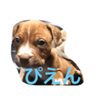 くんくんじぇいくん。（個別スタンプ：5）