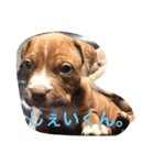 くんくんじぇいくん。（個別スタンプ：6）