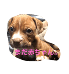くんくんじぇいくん。（個別スタンプ：8）