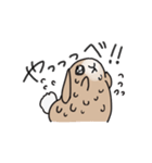 へいぼンサギ（個別スタンプ：20）