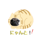 パグの勘三朗と梅之助（個別スタンプ：35）