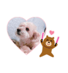 marron ...（個別スタンプ：29）