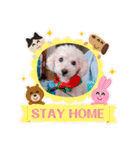 marron ...（個別スタンプ：38）
