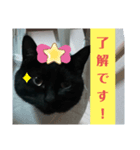 nagi4（個別スタンプ：1）