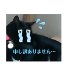 nagi4（個別スタンプ：3）