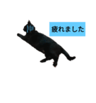 nagi4（個別スタンプ：5）