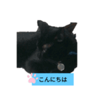 nagi4（個別スタンプ：7）