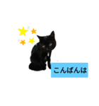 nagi4（個別スタンプ：8）