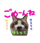 はっくん＆むたさん（個別スタンプ：5）