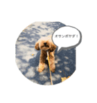 Lacoskeのデビュー作(笑)（個別スタンプ：2）