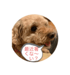 Lacoskeのデビュー作(笑)（個別スタンプ：6）