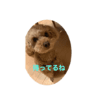 Lacoskeのデビュー作(笑)（個別スタンプ：8）