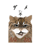 日本麦わら猫と台湾石虎猫のスタンプvol.2（個別スタンプ：5）