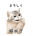 日本麦わら猫と台湾石虎猫のスタンプvol.2（個別スタンプ：7）