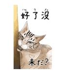 日本麦わら猫と台湾石虎猫のスタンプvol.2（個別スタンプ：8）