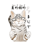 日本麦わら猫と台湾石虎猫のスタンプvol.2（個別スタンプ：14）