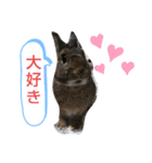 うさぎのココアさん（個別スタンプ：9）