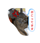 うさぎのココアさん（個別スタンプ：17）