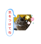 うさぎのココアさん（個別スタンプ：20）