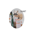 ハムコロちゃん（個別スタンプ：4）