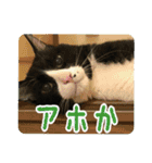 うしピスpart1（個別スタンプ：7）