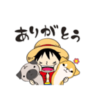 ONE PIECE × PUGCHIi（個別スタンプ：11）