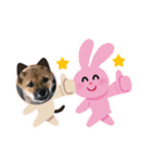 豆柴 ヤンチャさくら ฅ^•ﻌ•^ฅ（個別スタンプ：13）