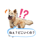 しずくちゃんスタンプ*2（個別スタンプ：5）