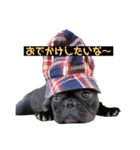 いとしのムー（個別スタンプ：4）