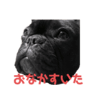 いとしのムー（個別スタンプ：5）