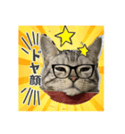 サクラちゃんすたんぷ（個別スタンプ：4）