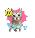 サクラちゃんすたんぷ（個別スタンプ：7）