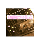 第2弾！ちょこたん＆ひめたん（個別スタンプ：9）