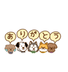 関西弁の5匹のわんこ達（個別スタンプ：38）