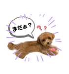 まろんすたんぷ。（個別スタンプ：9）