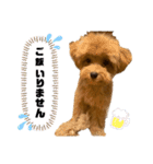 まろんすたんぷ。（個別スタンプ：13）