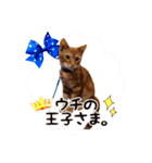 おぐにゃーすけ（個別スタンプ：1）
