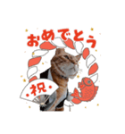 おぐにゃーすけ（個別スタンプ：2）