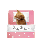 おぐにゃーすけ（個別スタンプ：5）