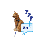 おぐにゃーすけ（個別スタンプ：6）