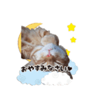 おぐにゃーすけ（個別スタンプ：7）