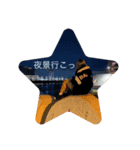 どこでも？スタンプ（個別スタンプ：3）