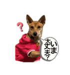 ずーきーときなちゃん（個別スタンプ：5）